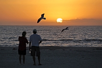 2013 Florida